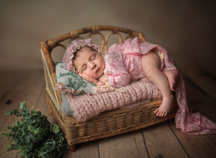 Celebrate Your Family