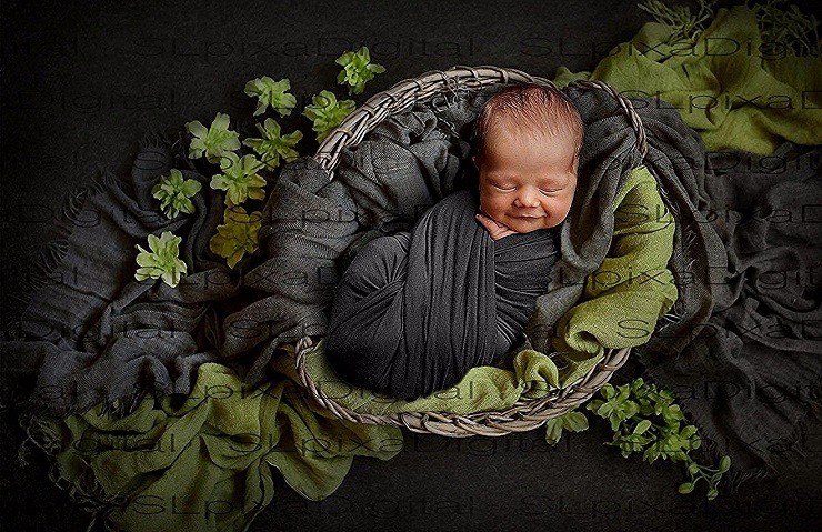Newborn Shoots