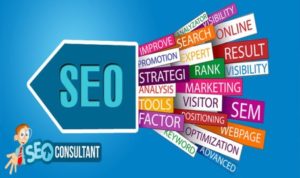 SEO-Consultant