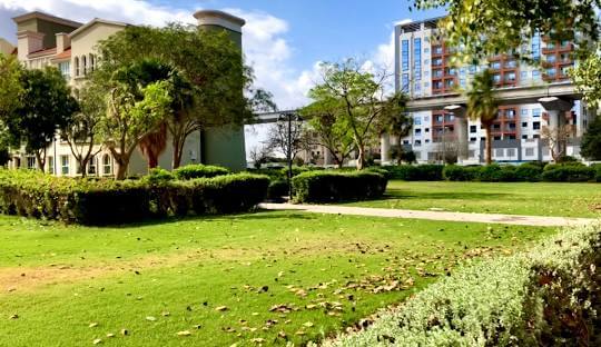 SEO Discovery Gardens